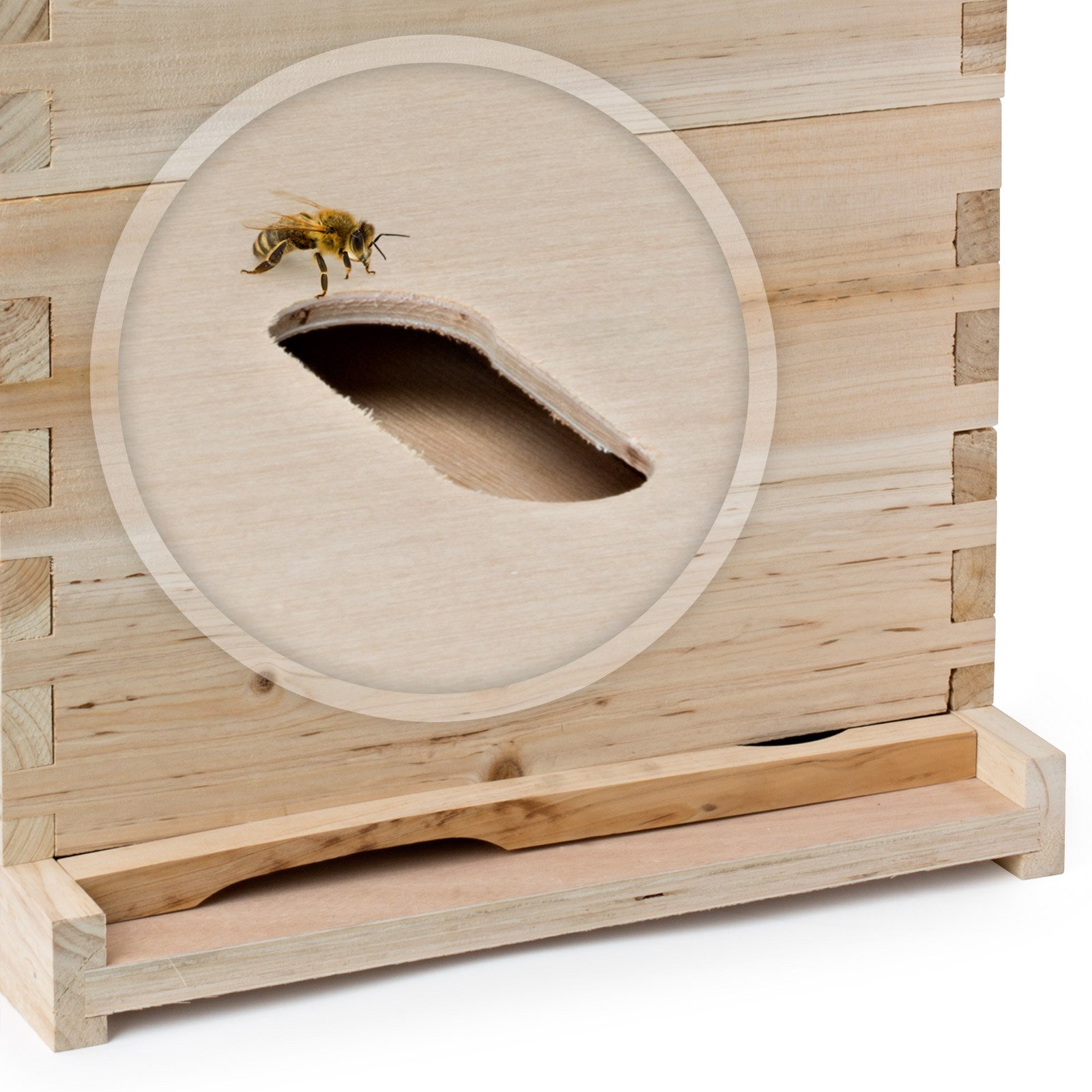 Amazon.com : Honey Keeper Beehive 20 Frame Complete Box Kit (10